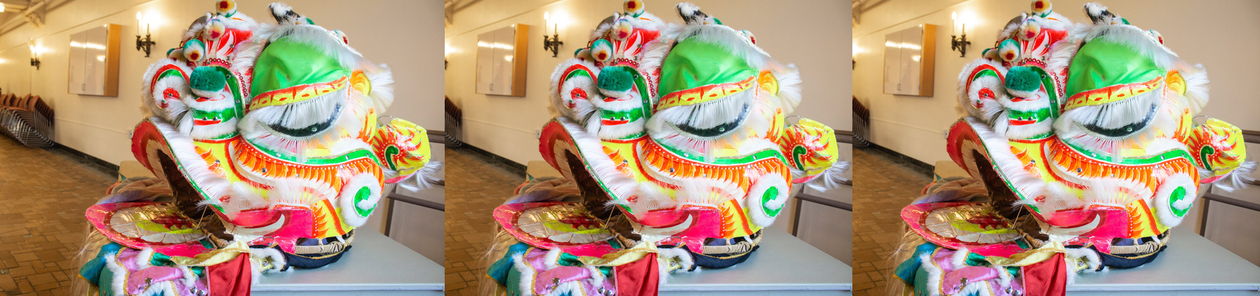 Global Studies Major Image